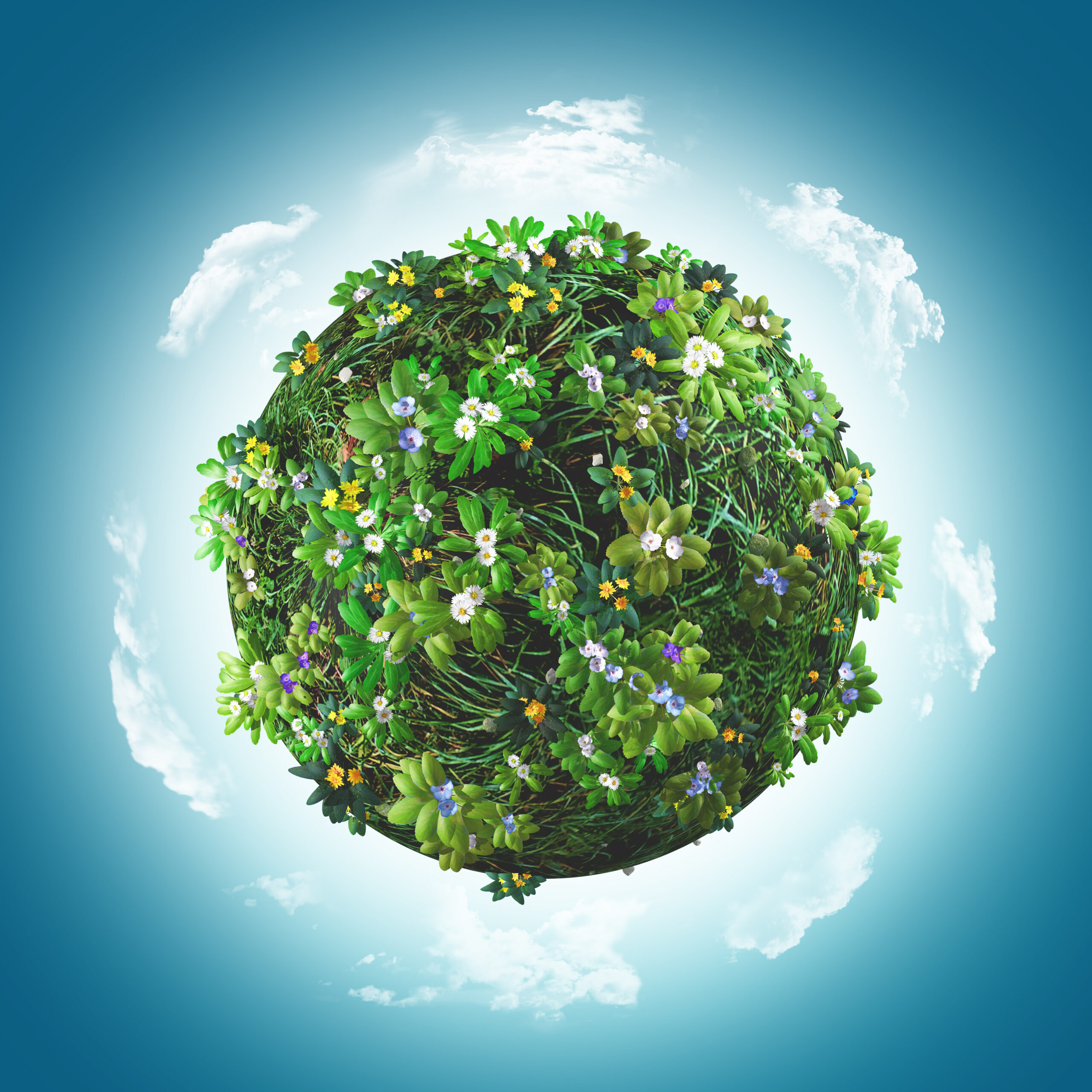 The Circular Economy: Redefining Waste and Creating Value
